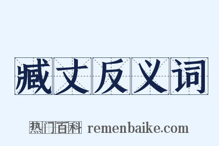 臧丈反义词是什么意思的图片